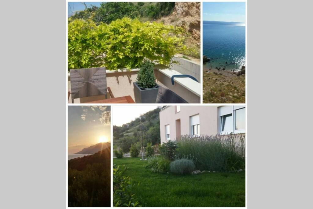 Apartment Dandelion بريلا المظهر الخارجي الصورة