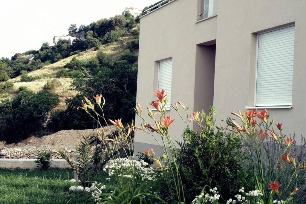 Apartment Dandelion بريلا المظهر الخارجي الصورة