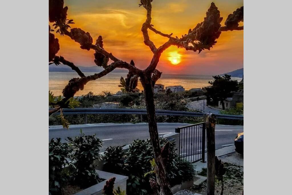 Apartment Dandelion بريلا المظهر الخارجي الصورة