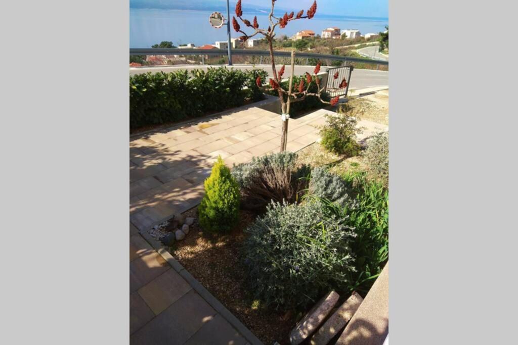 Apartment Dandelion بريلا المظهر الخارجي الصورة