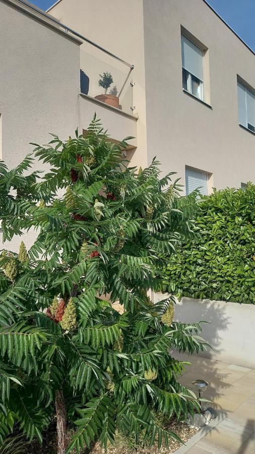 Apartment Dandelion بريلا المظهر الخارجي الصورة