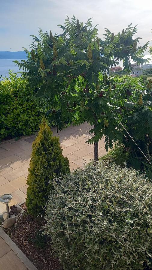 Apartment Dandelion بريلا المظهر الخارجي الصورة
