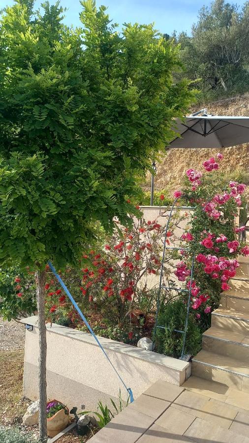 Apartment Dandelion بريلا المظهر الخارجي الصورة