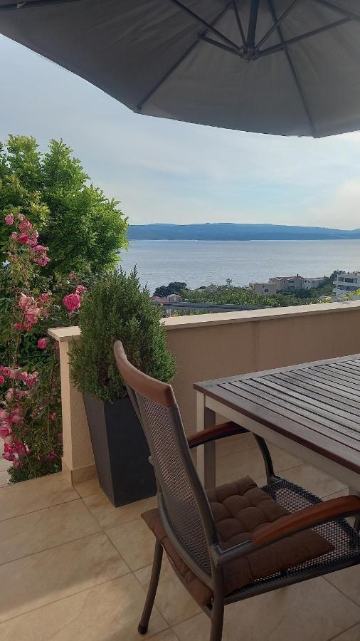 Apartment Dandelion بريلا المظهر الخارجي الصورة